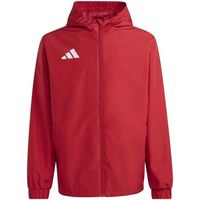 adidas chaqueta deporte ent26 aw jkt para hombre