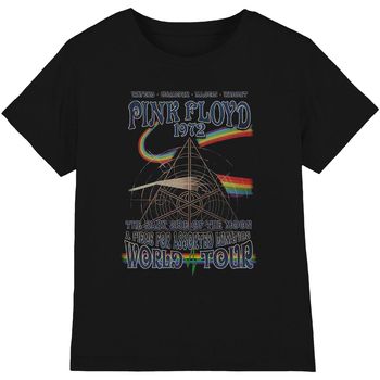 Pink Floyd Camiseta manga larga Assorted Lunatics para hombre