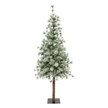 Nordstar Fir 180cm