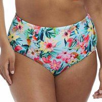aloha classic bikini briefs