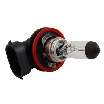 H8 Halogen Bulb - Single Pack Boxed
