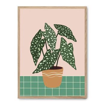 Cuadro Plant Plot Iv