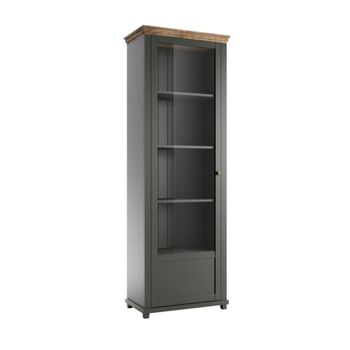 Vitrina 1 puerta apertura por la paneles de aglomerado verde y madera