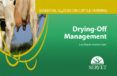 Essential guides on cattle farming.  Drying-off Management