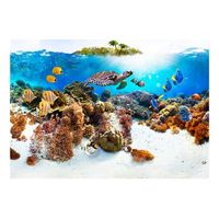 papel pintado 3d - arrecife de coral 150x105 cm