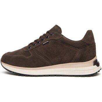 NeroGiardini Deportivas Moda Arold Colo Pu.Bidens.Alghero B1 para hombre
