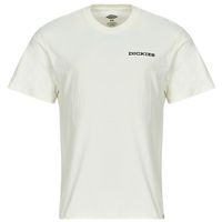 dickies camiseta landascape ss tee para hombre