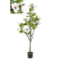 maceta magnolio