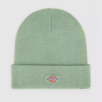 Dickies Gorro Gibsland para mujer