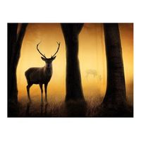papel pintado 3d - deer in his natural habitat 400x309 cm