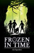 rollercoaster: frozen in time