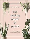 The Healing Power Of Plants: The Hero House Plants That Love You Back