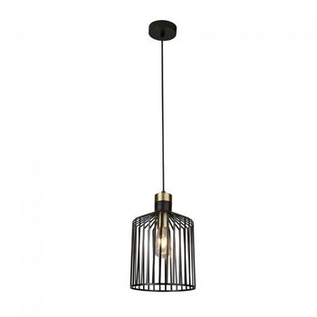 Lámpara de techo bird cage i