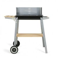 barbacoa de carbon doc244