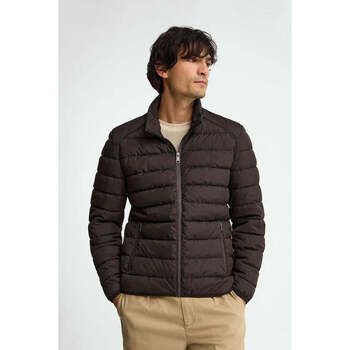 Polo Club Chaquetas BRUNEI para hombre
