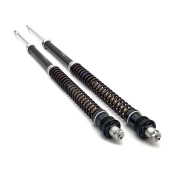 Cartucho de horquilla Honda CB 500 X '19-'21 Matris F15K kit