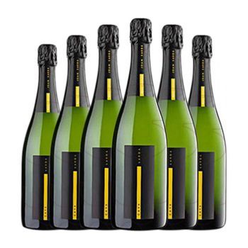 Joan Sarda Brut Nature Cava Reserva 75 Cl 11.5% Vol. (pack De 6 Unidades)
