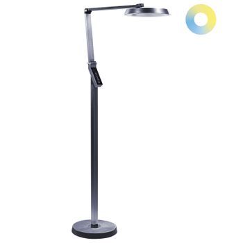 Lámpara De Pie Led Gris Oscuro 170 Cm Material Sintético Altura Regulable Carina