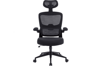 Silla gaming - Woxter Ergo GM26-107, 2D (Reposabrazos Abatibles, se mueve arriba y abajo), Carga máxima 120 kg, Negro
