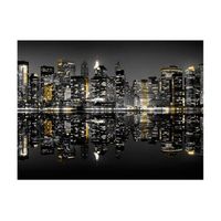 papel pintado 3d - oro y plata - nyc 300x231 cm