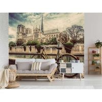 fotomural vinilo vistas a notre damme 400 x 300 cm