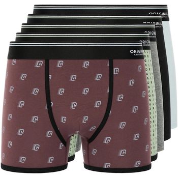 Crosshatch Boxer tifix para hombre