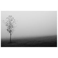 legendarte - cuadro lienzo impresion digital - la niebla - decoracion pared cm 60x90