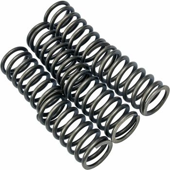 Muelle de embrague Ducati 40mm kit