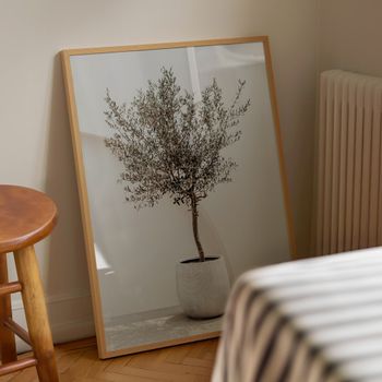 Cuadro olivo, marco premium chapado en roble, 50x70 cm