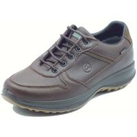 grisport zapatillas de senderismo 8691ov wood para hombre