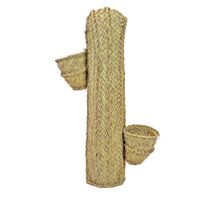 cactus esparto maceteros 70 cm