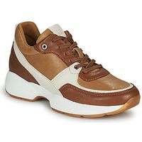dream in green zapatillas agapanthe para mujer