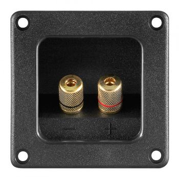 Goobay Conjunto de 2 Bornes Dorados para Altavoz Cuadrado Negro