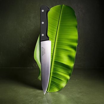 Cuchillo de cocina 20 cm acero 5cr15mov + abs negro