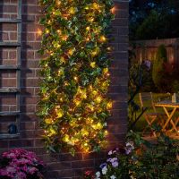 solar in-lit ivy trellis