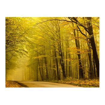 Papel Pintado 3d - Una Carretera En El Bosque (250x193 Cm)