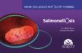 main challenges in poultry farming salmonellosis