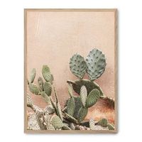 cuadro cactus terracotta background ii