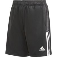 adidas short nino - para nino