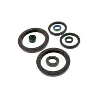kit reten motor husqvarna te 410 e 00-01 athena