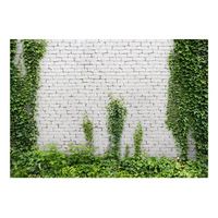 papel pintado 3d - hiedra rastrera 300x210 cm
