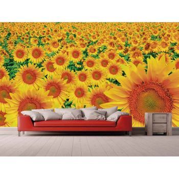 Fotomural Vinilo Campo De Girasoles 2 600 X 300 Cm