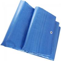 toldo polietileno reforzado impermeable multiusos con ojales azul 90gr  verde 90gr varias medidas  thayba
