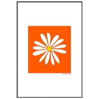 panorama cuadro enmarcado agatha ruiz de la prada margarita fondo naranja 50x70 cm
