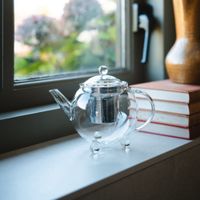 tetera de vidrio borosilicato de 05 l con filtro de acero inoxidable