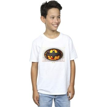 Dc Comics Tops y Camisetas BI39112 para niño