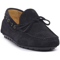 exton mocasines blue camoscio para hombre