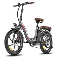 bicicleta electrica fafrees f20 pro - motor 250w bateria 36v25ah  neumaticos de 20 frenos de disco mecanicos - gris plomo