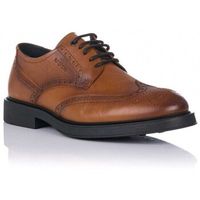 baerchi zapatos bajos zapato blucher - piel para hombre