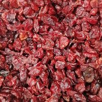 arandanos deshidratados sin azucar 1kg